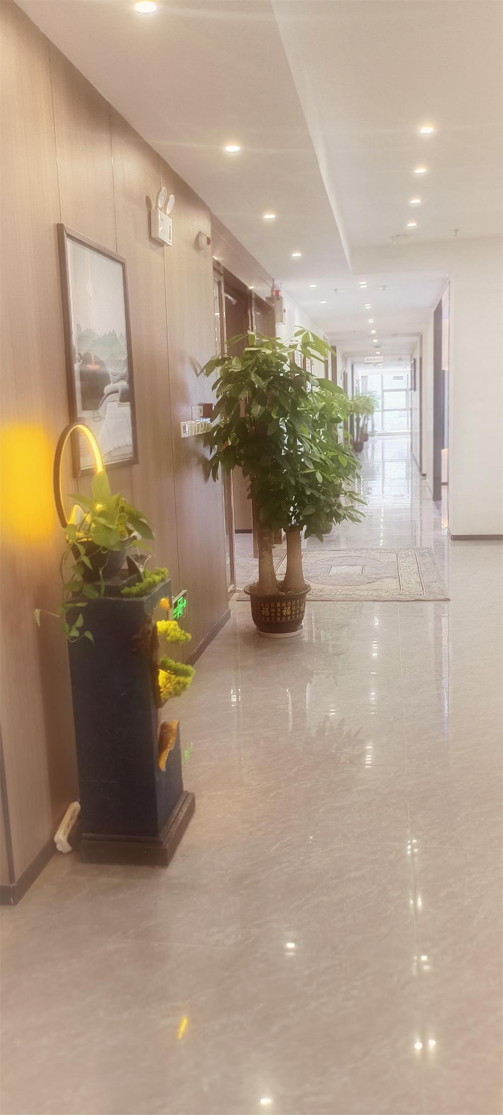 公司辦公室走廊