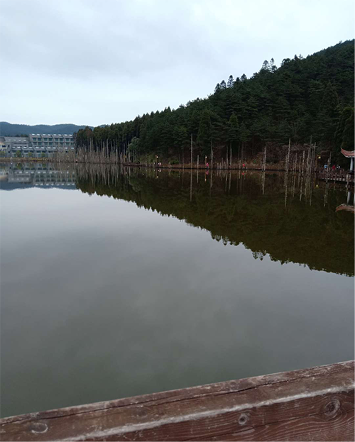 湖南力民電梯有限公司,邵陽電梯銷售,邵陽電梯安裝,湖南電梯維修,自動扶梯,自動人行梯 湖南力民電梯有限公司,邵陽電梯銷售,邵陽電梯安裝,湖南電梯維修,自動扶梯,自動人行梯