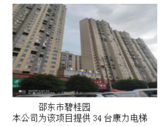 湖南力民電梯有限公司,邵陽(yáng)電梯銷售,邵陽(yáng)電梯安裝,湖南電梯維修,自動(dòng)扶梯,自動(dòng)人行梯