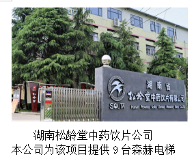 湖南力民電梯有限公司,邵陽電梯銷售,邵陽電梯安裝,湖南電梯維修,自動(dòng)扶梯,自動(dòng)人行梯