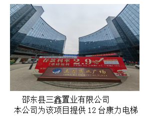 湖南力民電梯有限公司,邵陽電梯銷售,邵陽電梯安裝,湖南電梯維修,自動扶梯,自動人行梯