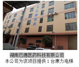 湖南力民電梯有限公司,邵陽電梯銷售,邵陽電梯安裝,湖南電梯維修,自動扶梯,自動人行梯